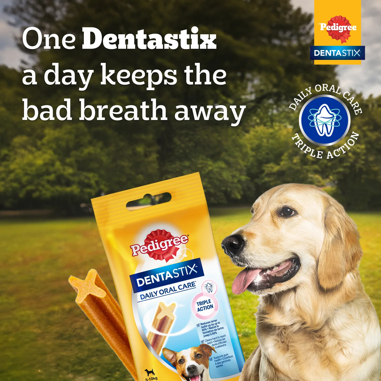 Pedigree Dentastix Oral Care Dog Treat Weekly Pack For Medium Breed - 180 g - Image 2