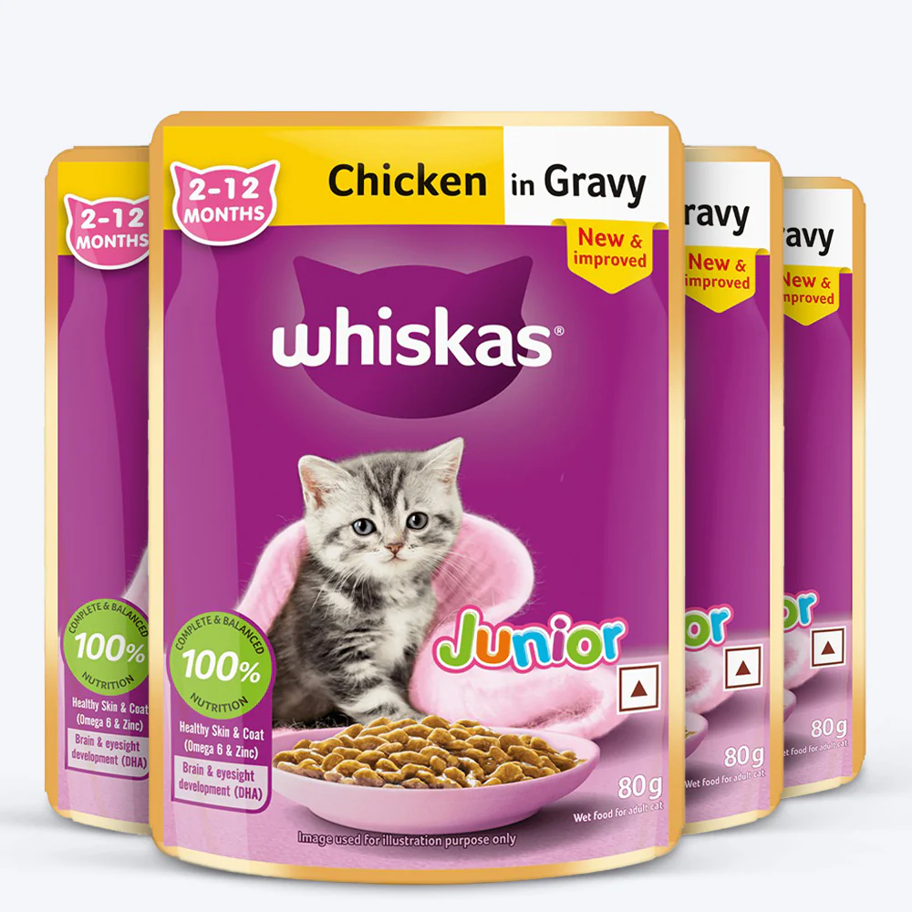Whiskas Junior Kitten (2-12 Months) Chicken in Gravy Wet Cat Food - 80 gm Pack