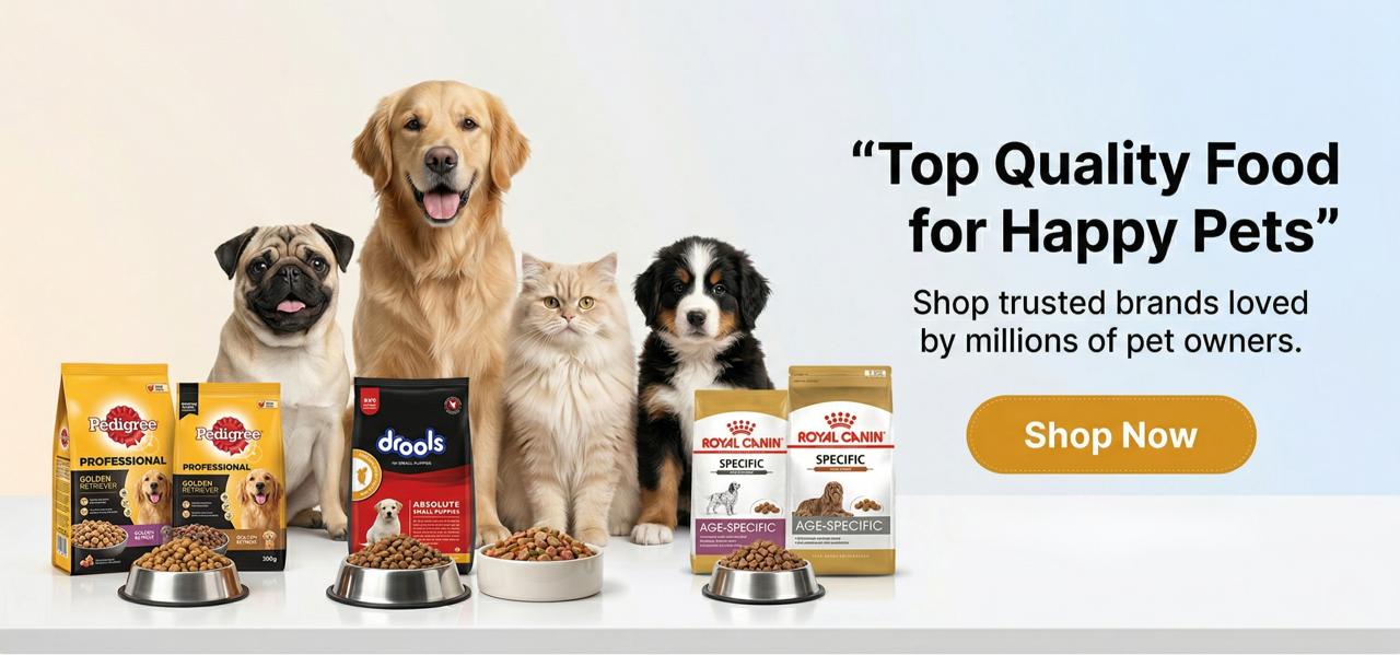 WhatsApp Image 2026-03-28 at 12.35.14 PM