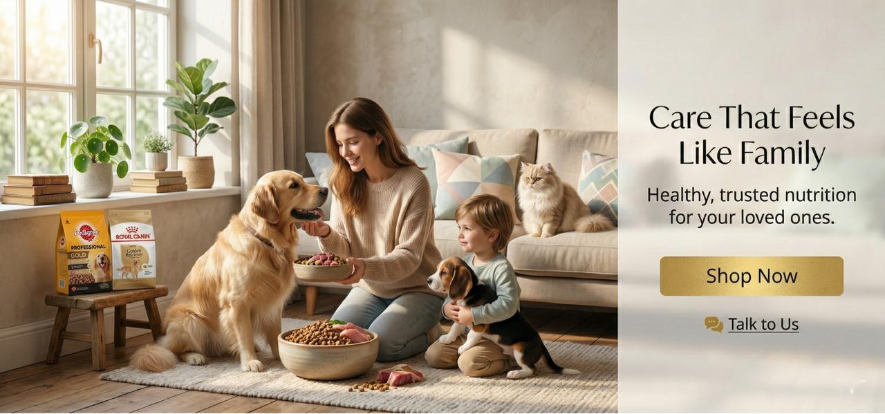 WhatsApp Image 2026-03-28 at 12.35.23 PM